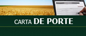 Confeccione su Carta de Porte