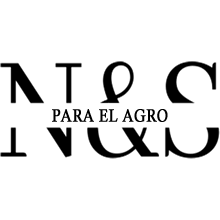 Logo-N&S.fw