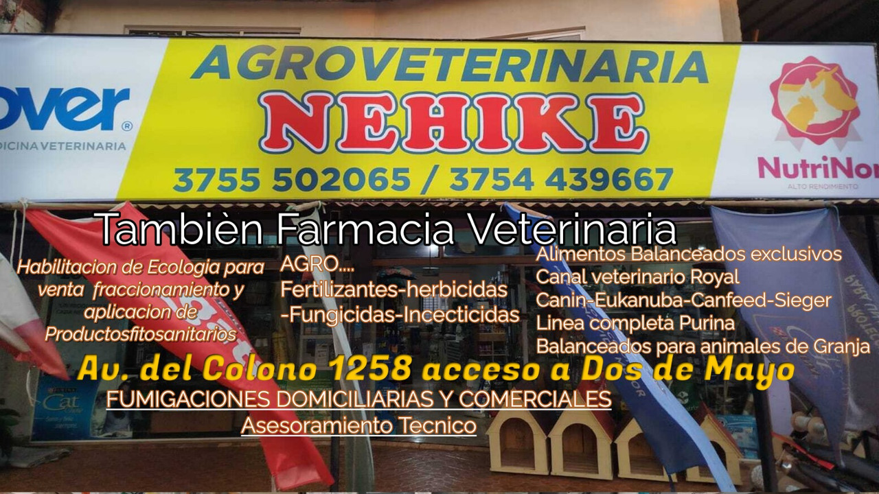 Imagen 10