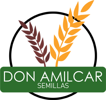 Don Amilcar Semillas